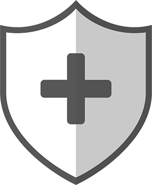 Icon with Plus Sign on Shield